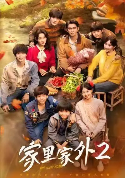 《家里家外2》1080P超清未删减版在线观看-《家里家外2》4K高清完整版全集资源免费播放