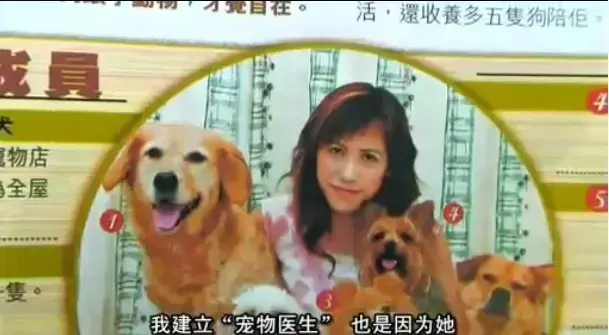 《女人与狗》完整版资源哪里找？《女人与狗》高清中文字幕在线播放与网盘下载指南