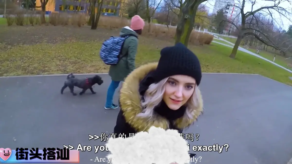 《捷克街头搭讪系列》完整版资源在哪找？《捷克街头搭讪系列》高清无删减日语动漫全集在线观看与网盘下载