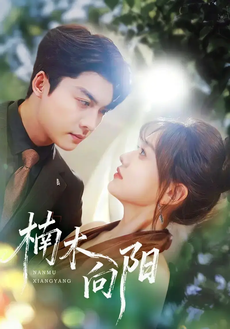 《楠木向阳》4K高清未删减版全70集完整资源《楠木向阳》方正男仇乐瑶主演超清画质在线观看