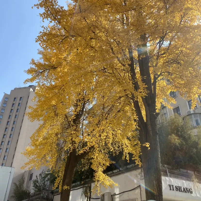 《婚婚逢她》全集HD高清完整版-《婚婚逢她》1080P超清无删减资源-在线播放下载