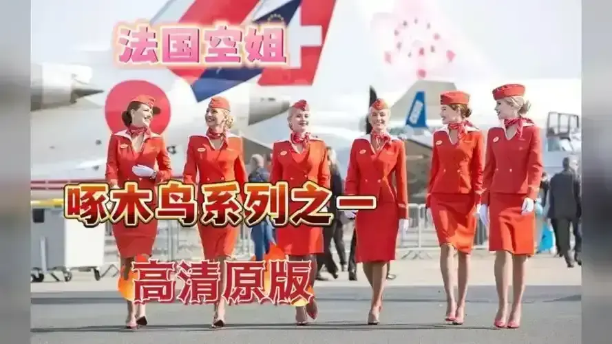 《法国空姐》无删减三季全集1080P高清版《法国空姐》航空职场剧完整资源
